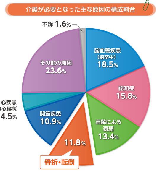 骨折・転倒の円グラフ
