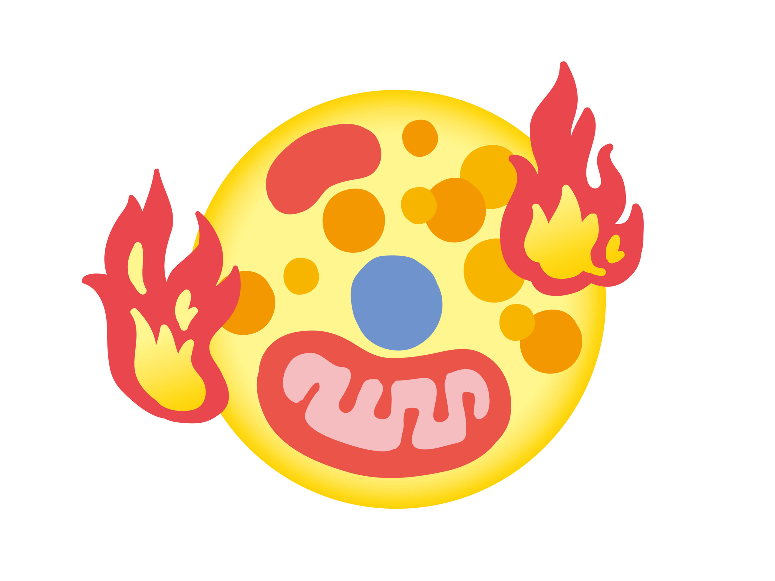 褐色脂肪細胞のイラスト画像