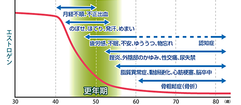 エストロゲン低下と諸症状の関係性を示すグラフ